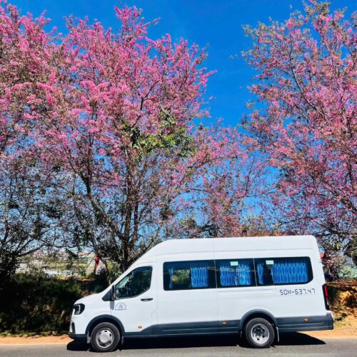 Thuê xe ford transti 18 chỗ